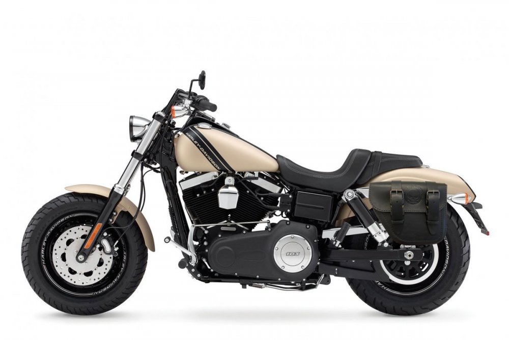 2014-Harley-Davidson-FatBob saddlebag left.JPG
